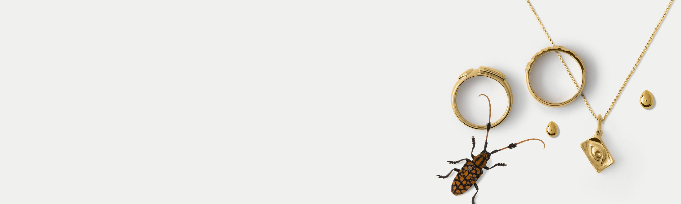 Two rings, a pendant, and earring stud by Alfonzo with a decorative insect