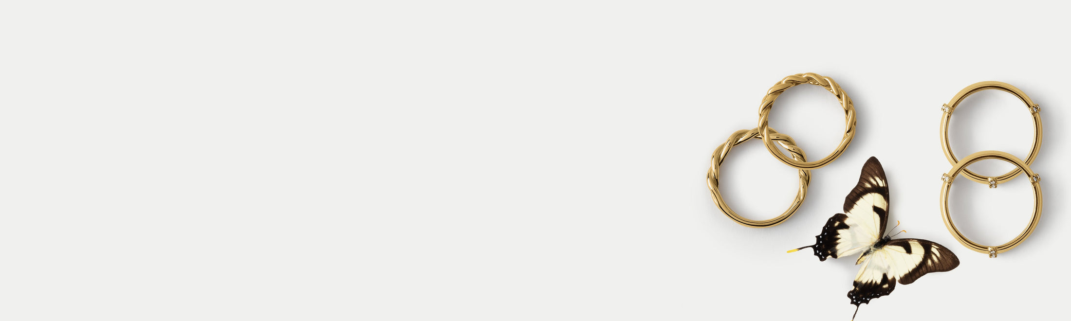 Group of wedding bands by Alfonzo with a decorative butterfly