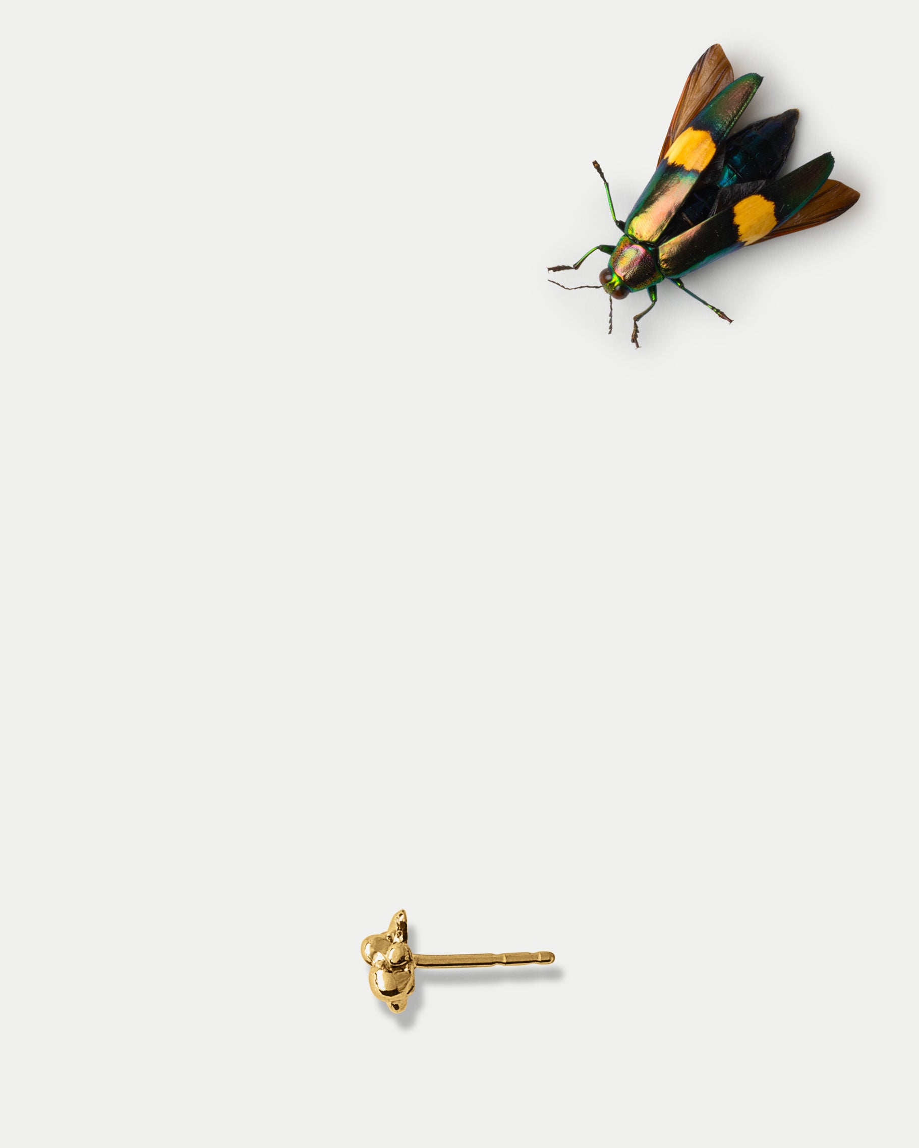Side view of Fructus Stud in 14k yellow gold with an insect