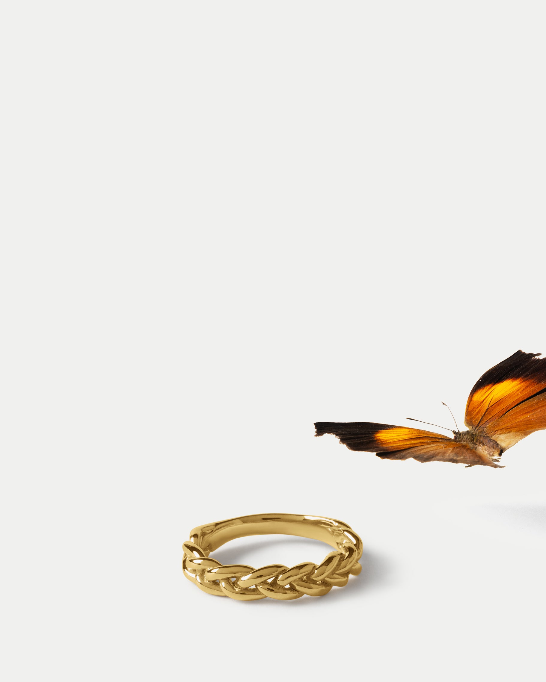 Angled view of Gradus Band in 14k yellow gold with an insect