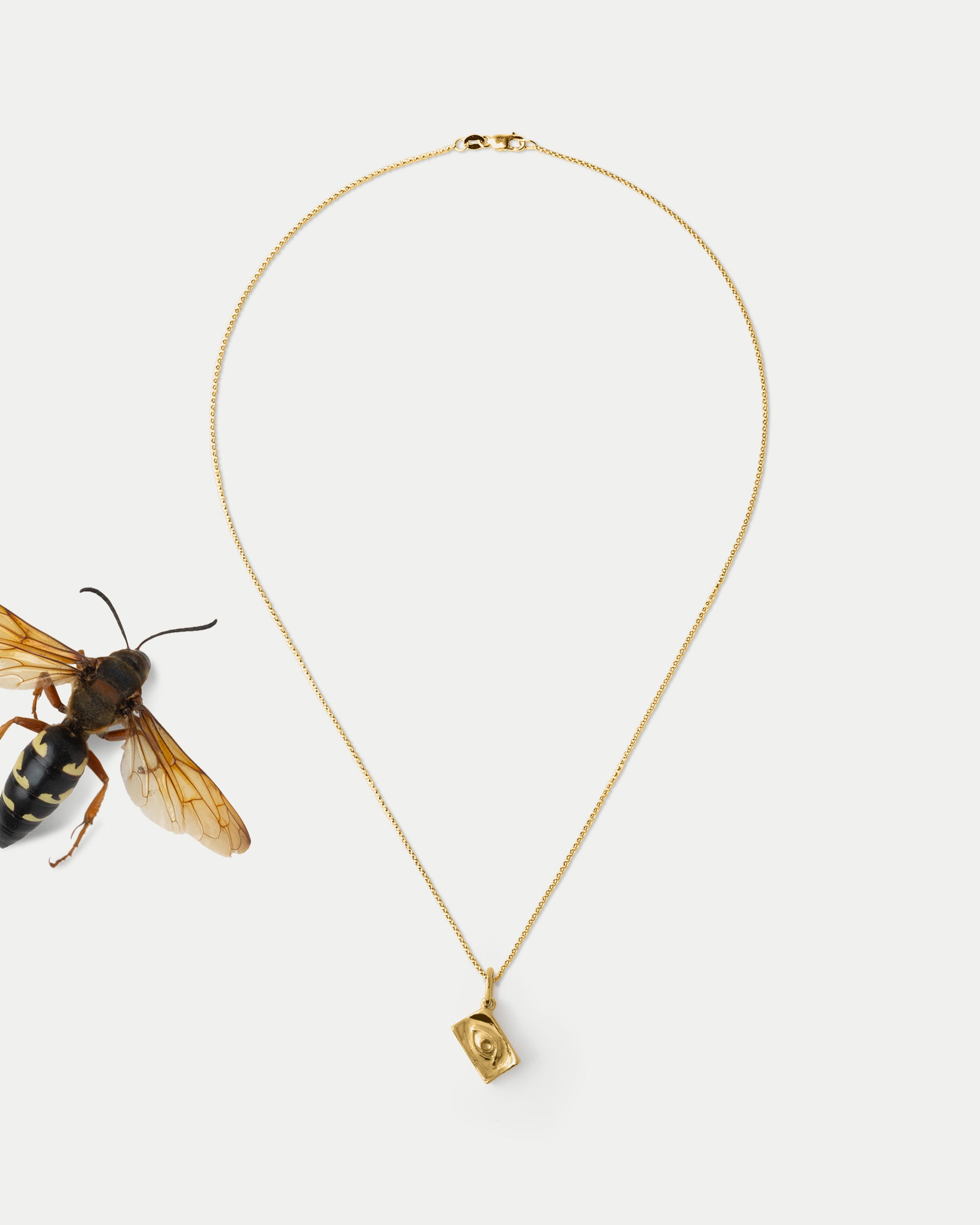 Flay lay view of Classic Pendant in 14k yellow gold with an insect