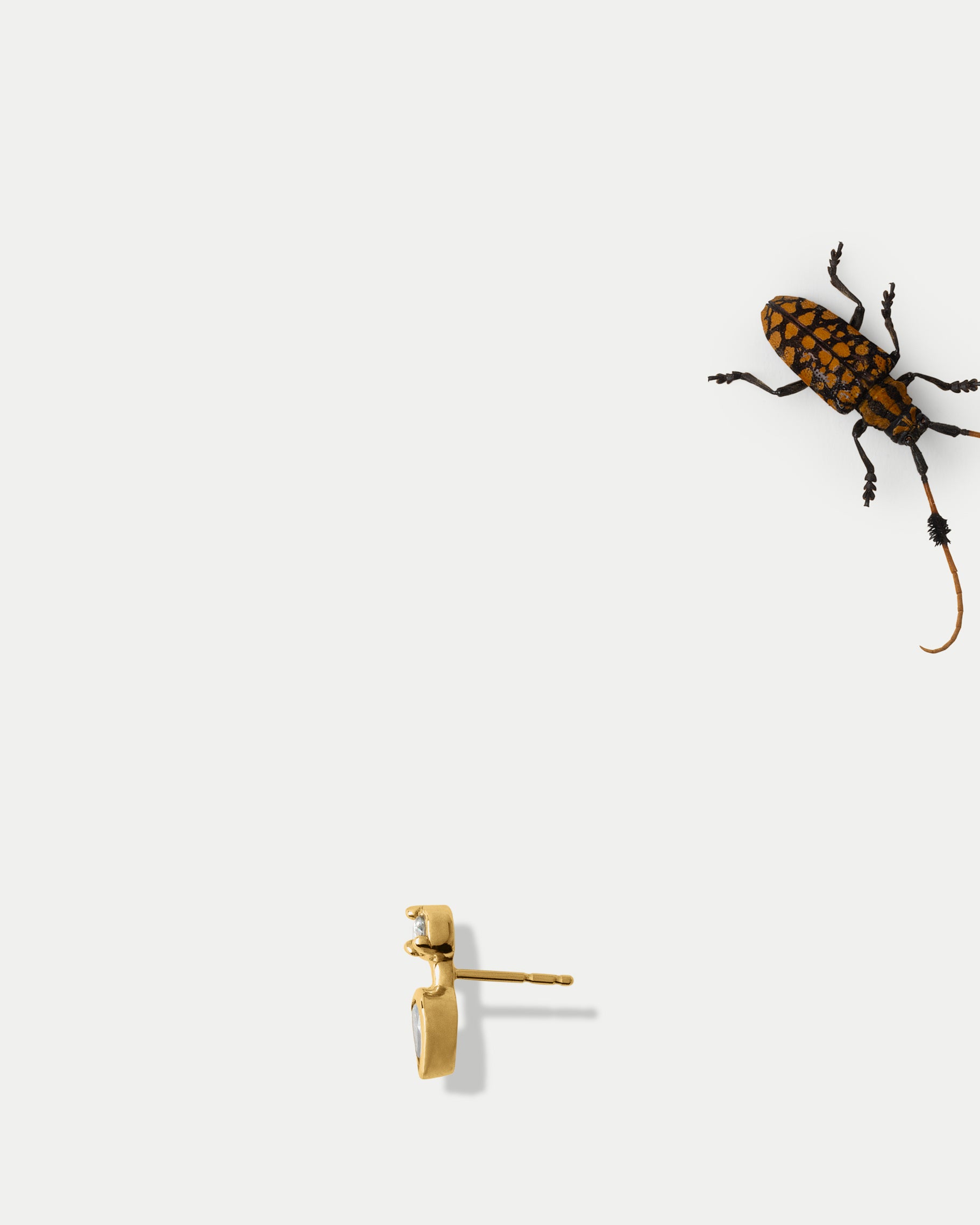 Side view of Canis Minor Stud ft. White & Grey Diamond in 14k yellow gold with an insect