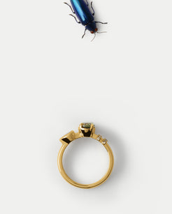 Flat lay view of Monoceros Ring ft. Oval Sapphire in 14k yellow gold with an insect