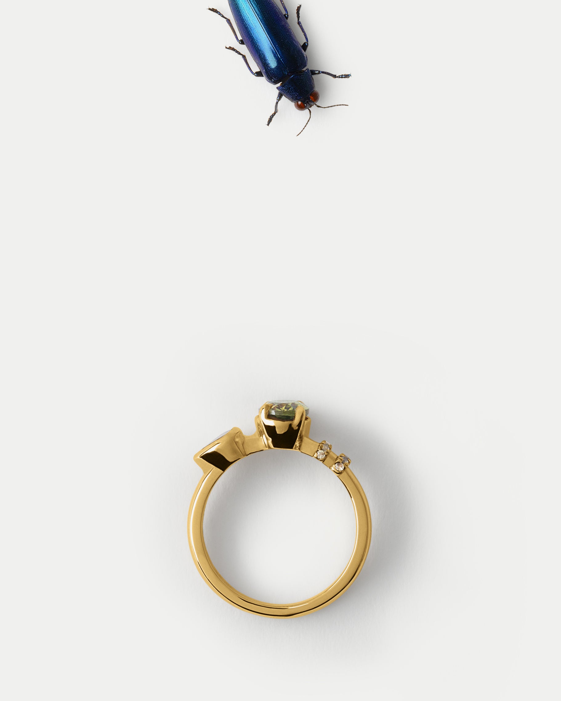 Flat lay view of Monoceros Ring ft. Oval Sapphire in 14k yellow gold with an insect