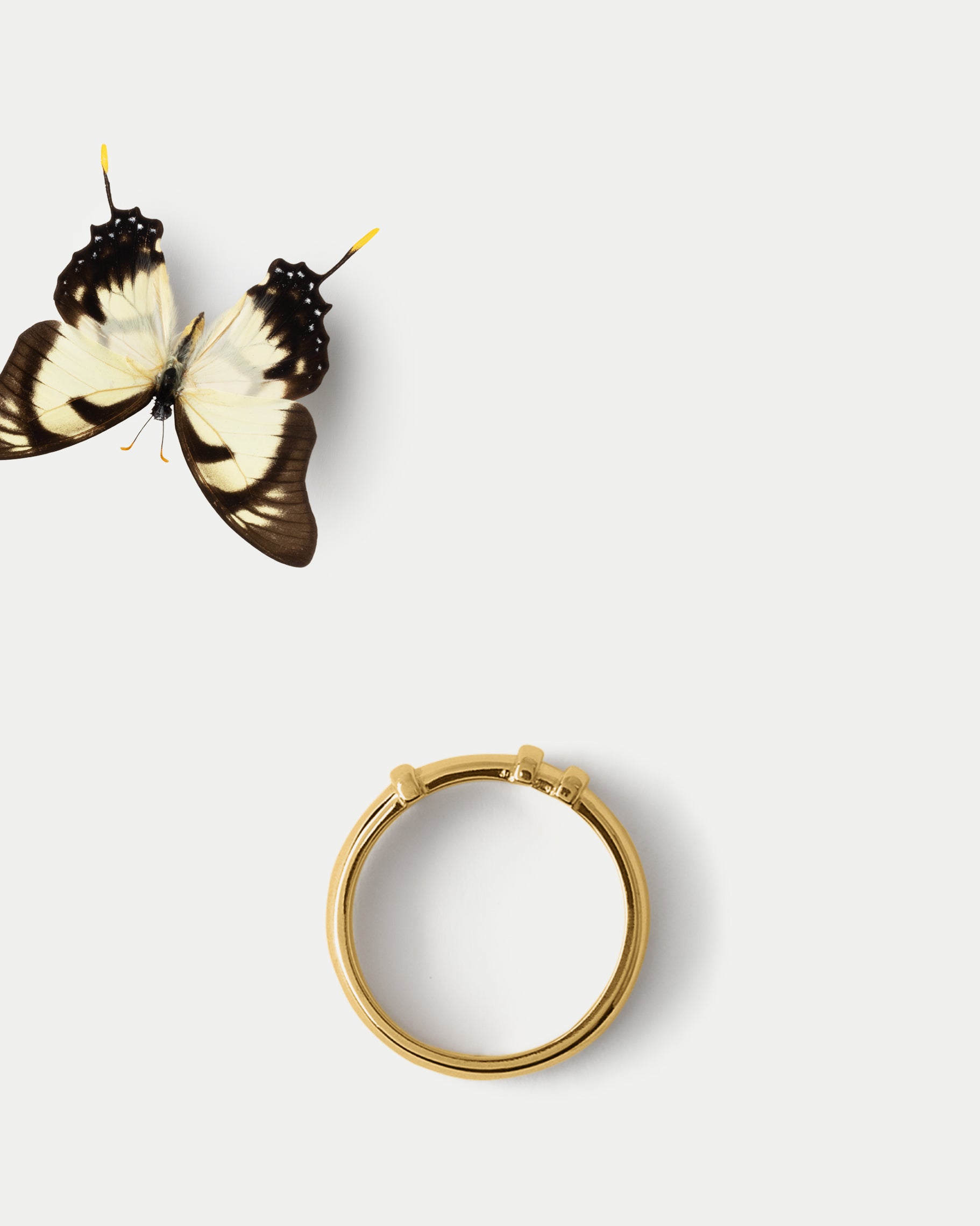 Flat lay view of Orion Cluster Band  in 14k yellow gold