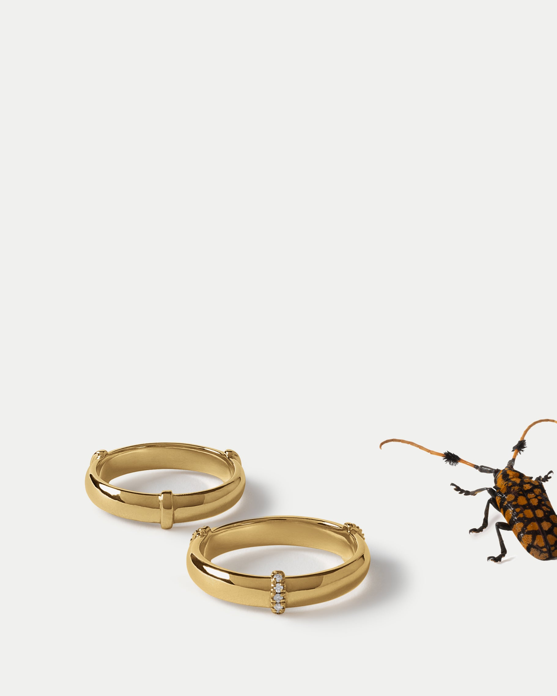 Angled view of a Orion Minor Band ft. White Diamonds in 14k yellow gold and a Orion Minor Band in 14k yellow gold with an insect