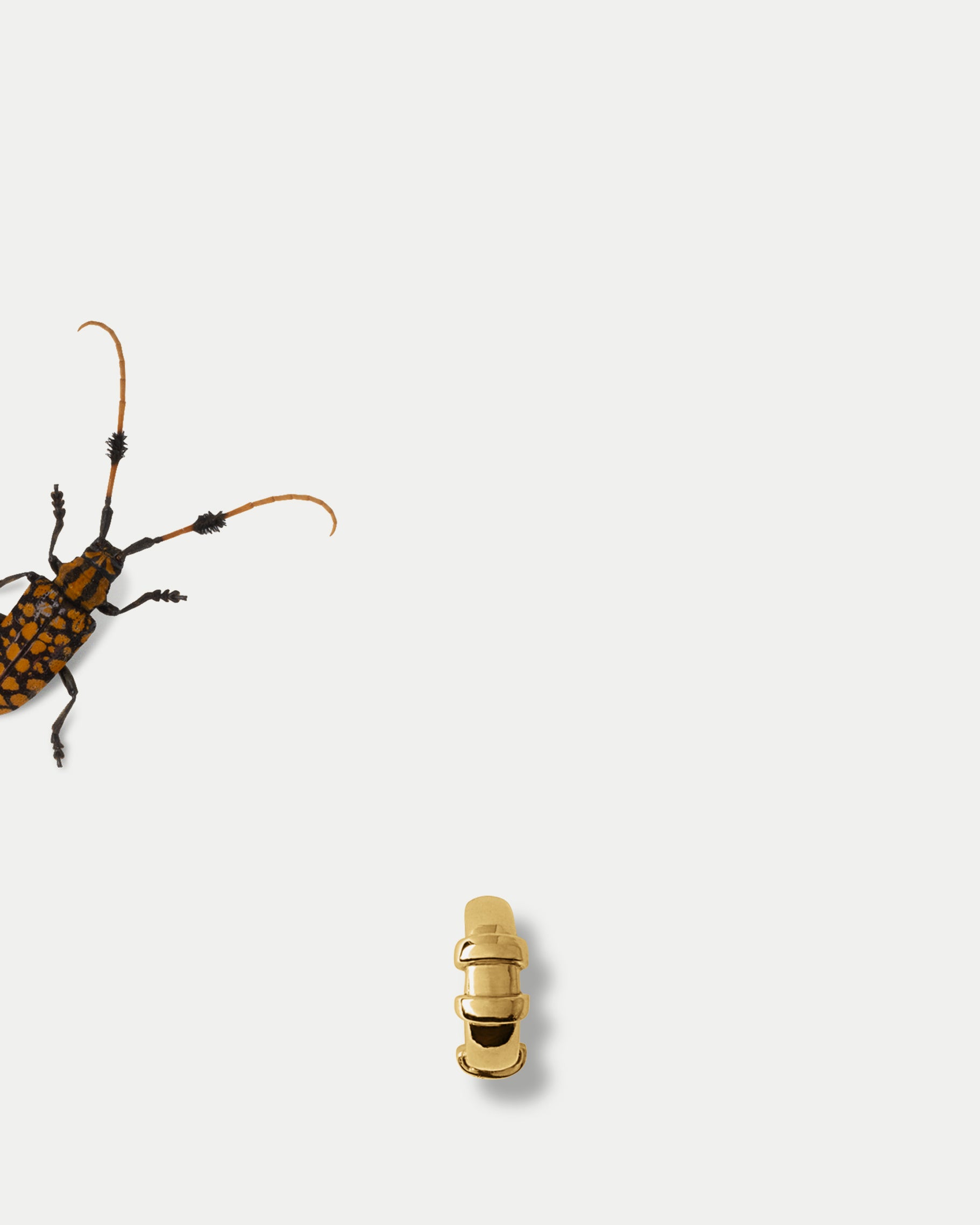 Front view of Orion Small Hoop in 14k yellow gold with an insect