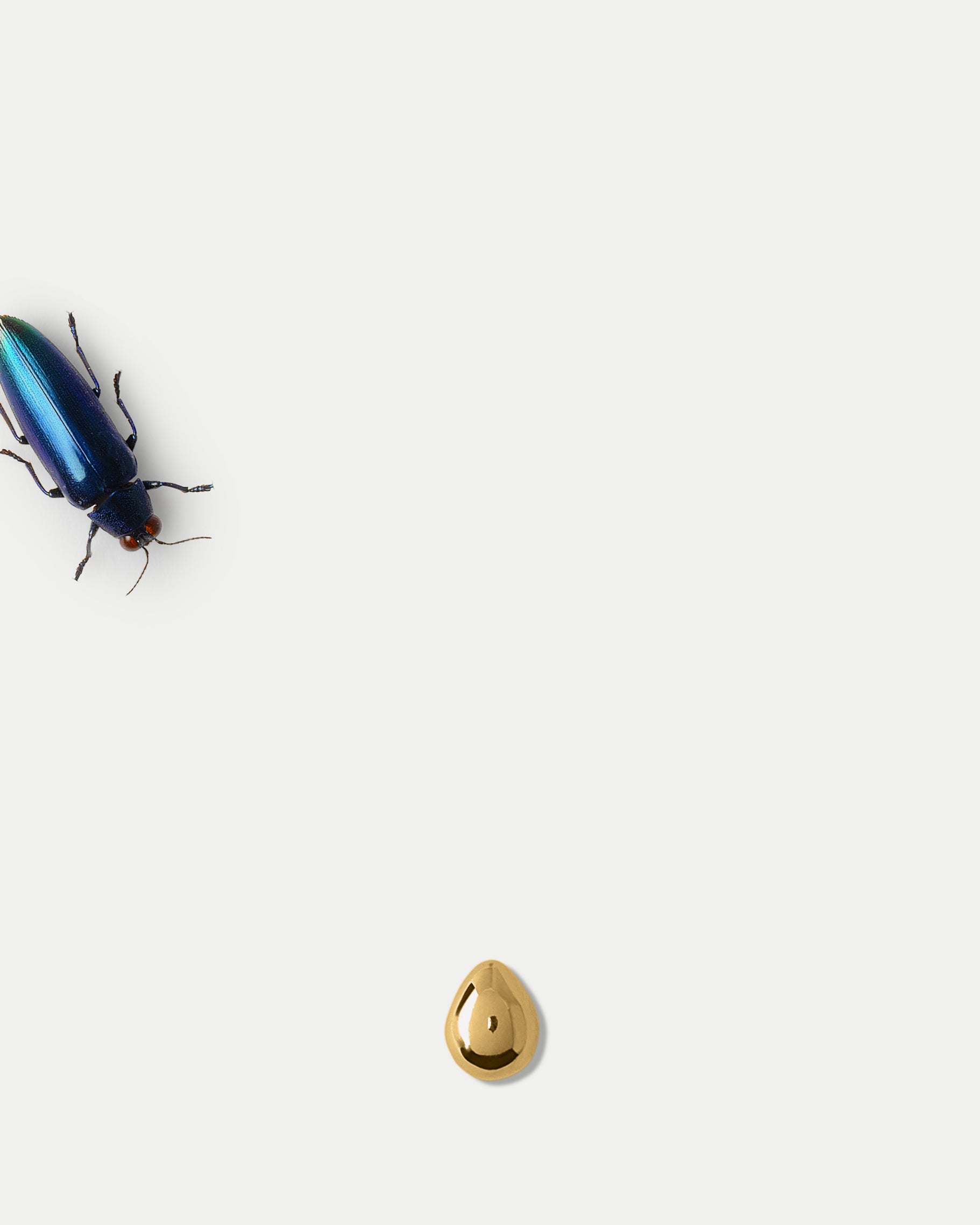 Front view of Heros Major Stud in 14k yellow gold with an insect